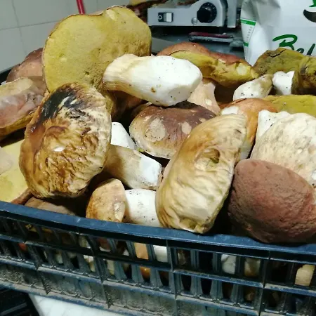 فندق مبيت وإفطار Etno Selo Lelic فاليفو