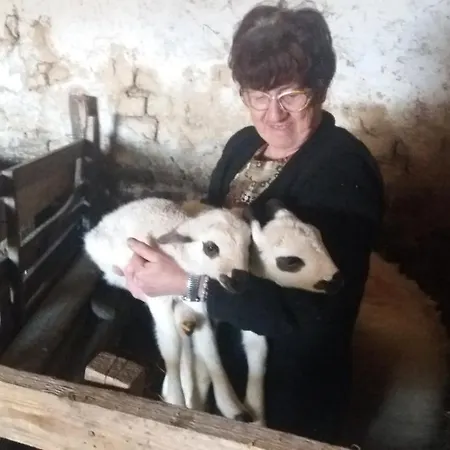 فندق مبيت وإفطار Etno Selo Lelic 3*