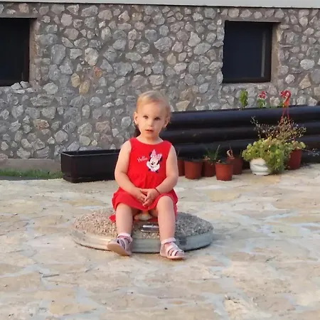 Etno Selo Lelic فندق مبيت وإفطار 3*