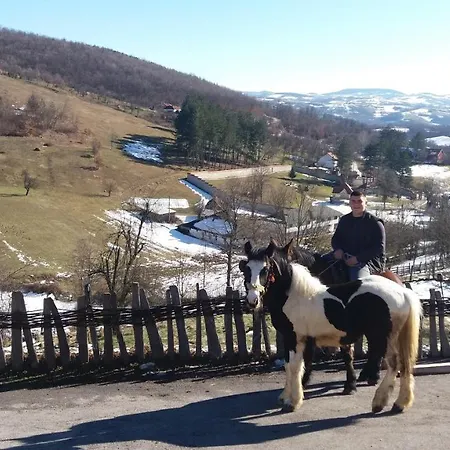 Etno Selo Lelic 3* فاليفو