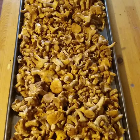 فندق مبيت وإفطار Etno Selo Lelic 3*