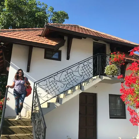 فندق مبيت وإفطار Etno Selo Lelic 3*